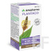 Arkocápsulas Plantago 48 capsulas arkopharma